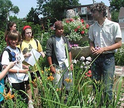 Camp EarthWays visits an urban farm