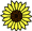 sunflower icon